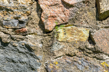 Stone texture of old ancient wall in sunny day. Modern luxury background for design with space for text