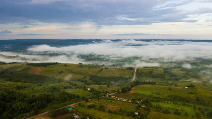Obraz premium Aerial view of sea of fog in the forest at north in Thailand, Nature Background