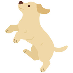 Flat colored cream Labrador jumping in side view