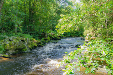 The romantic river ilz in the bavarian forest