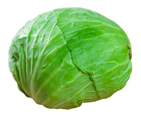Obraz premium Ripe fresh cabbage. Isolated over white background
