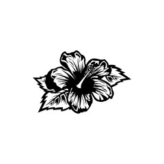 Vintage black and white blooming hibiscus flowers concept on white background isolated Floral tropical flower. hibiscus element Idea for business visit card, typography vector, print for t-shirt.