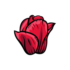 Vintage red blooming tulips. tulip element Idea for business visit card, typography vector,print for t-shirt.