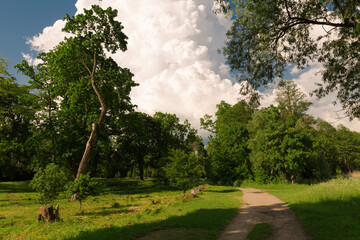 Walk in the park in the Albertino estate, the city of Slonim, Belarus. Forest, road, huge cumulus clouds, ancient centuries-old trees.