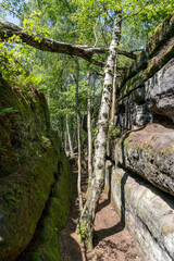 Rock labyrinth in the Saxon Switzerland