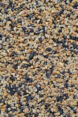 Sea stones background Nature Sea eco River