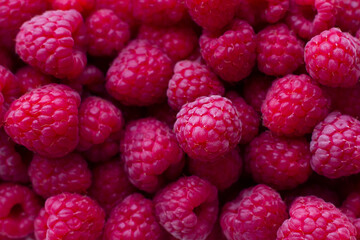 Raspberry fruit background. Summer mood.