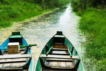 Fototapeta na wymiar Summer boat trip through the marshes of Polesie. The southern territory of Belarus. Natural protected nature reserves. Holidays at home. There is no quarantine in Belarus, we walk through the swamps.