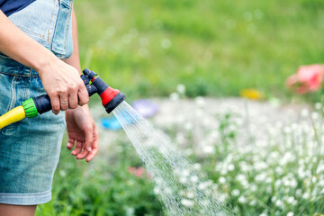 Close-up of a woman housewife watering the plants in the garden from a hose with a nozzle with a...