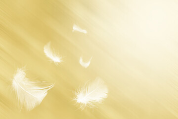 White feathers floating in the sky with sunlight yellow pastel