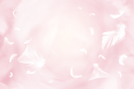 White feathers floating in the sky with sunlight pink pastel
