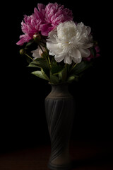 Peonies in a vase on a black background. Close-up of pink peony flowers . Beautiful peony flower for catalog or online store. The concept of a flower shop. Beautiful freshly cut bouquet.
