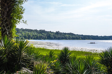 The beautiful Mc clay  state park Florida background blue sky.