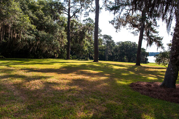 The beautiful Mc clay  state park Florida background blue sky.