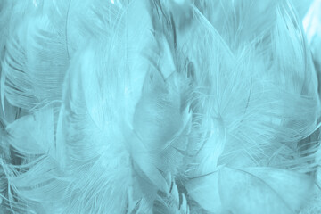 Beautiful  green turquoise vintage color trends feather pattern texture pastel background