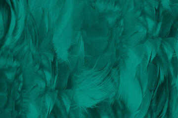 Beautiful dark green viridian vintage color trends feather texture pattern background