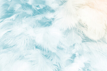 Beautiful  white green turquoise color trends feather pattern texture pastel background
