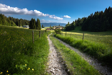 asiago