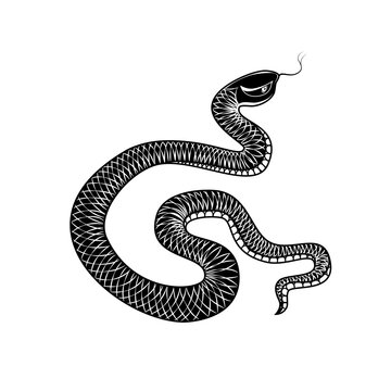 ..Hand drawn snake. Monochrome illustration. Graphic vintage sketch. Isolated object on a white background. .