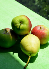 apples and pears on green background