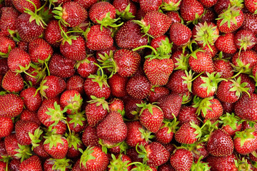 Strawberry background. Heap of red ripe strawberries, fresh summer berries, top view