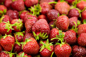 Strawberry background. Heap of red ripe strawberries, fresh summer berries
