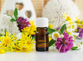 Small glass bottle with essential oil (herbal tincture, extract, infusion) and wild flowers. Aromatherapy, homemade spa and herbal medicine ingredients. Copy space.