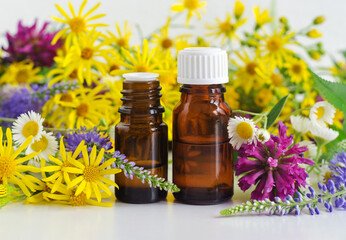 Two small glass bottles with essential oil (herbal tincture, extract, infusion) and wild flowers. Aromatherapy, homemade spa and herbal medicine ingredients. Copy space.