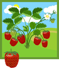 Cartoon strawberry plant with green leaves, flowers and ripe red berries
