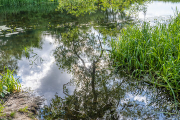 Beautiful murky river floating through a lush, green area. Reflections from trees