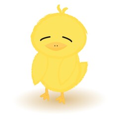 sad baby chick