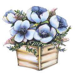 Flower Blue Anemones Poppies in box Illustration