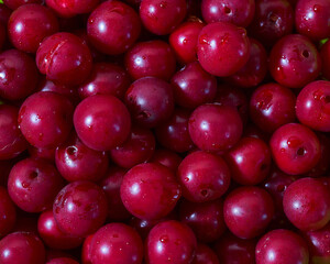 Juicy ripe red cherry. Close-up.Advertising photo. Many objects