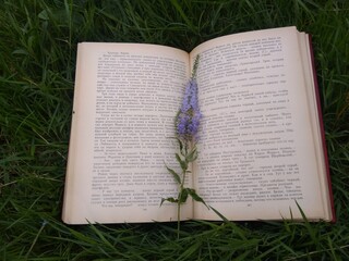 book and grass