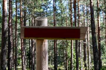 Wooden direction sign mock up. Wooden direction sign in a forest.  Mock up billboard. Mock up poster outside. 