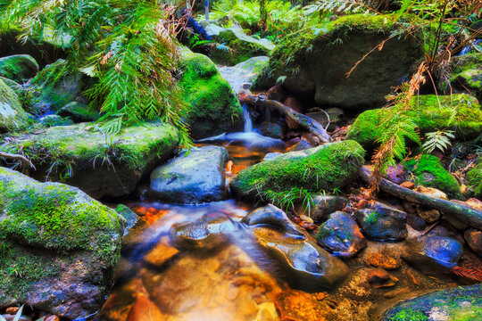 Bushwalking-Bilder: Stock-Fotos & -Videos. | Adobe Stock