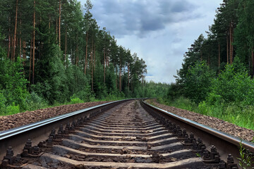 Fototapeta premium Railway surrounded by forest and sky. Rails close-up, there is a place for an inscription.
