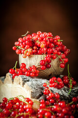 Fresh red currants on dark rustic wooden table. Background with copy space. Selective focus.