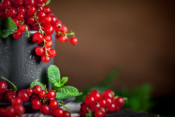 Fresh red currants in a Cup on a dark rustic wooden table. Background with space for copying. Selective focus.