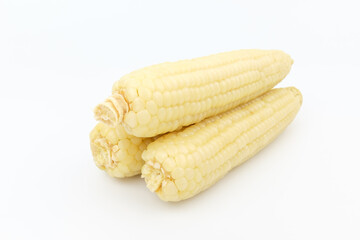 Boiled corn on white background