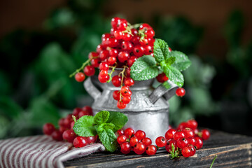 Fresh red currants in a Cup on a dark rustic wooden table. Background with space for copying. Selective focus.