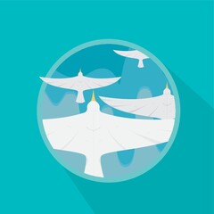 sea gulls flying over sea