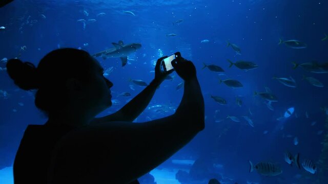 Woman taking picture of fish in water in 4k slow motion 60fps

