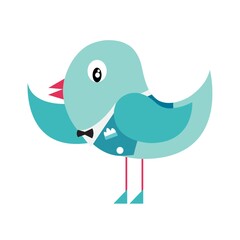 bird in a tuxedo