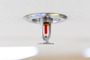 Fire sprinkler. Automatic fire extinguishing system. 
