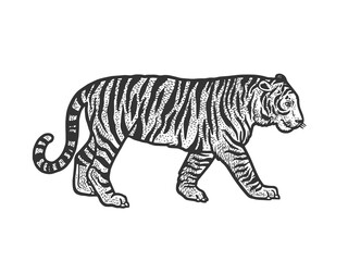 Walking tiger sketch raster illustration