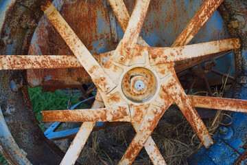 Closeup of a rusty old spoked wheel of a tractor, with blue and white paint. 