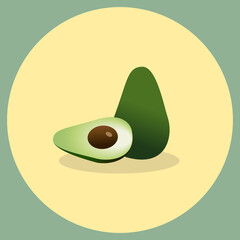 Avocado.Fresh fruit.Realistic Fruit. Vector illustration.