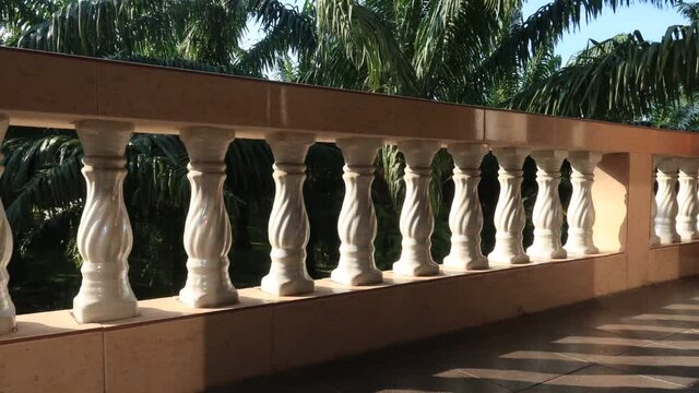 Funny TimeLapse footage of White Tiger cat or Siamese Thai kitten sleeping & sun bathing on balcony or terrace with natural palm tree leaf in tropical summer sunlight & sun ray with shadow & shade   