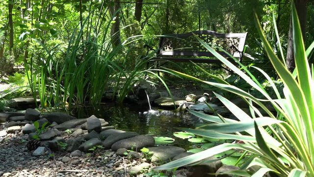 Beautiful small garden pond with frog-shaped fountain and stone shores in summer. In foreground Striped Yucca gloriosa Variegata. Selective focus. Evergreen Lanschat Garden. Nature concept for design.
